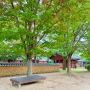 펜으로 그리는 힐링 스케치 이미지