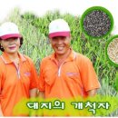 요한농원 경향신문