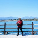 벚꽃길13 이미지