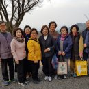 도반 이미지