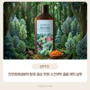 매직화장품 - 익산시 약촌로 192 | 탈모샴푸 스킨부탁 촘촘 매직 샴푸 사용 후기! 컨디셔너 없이도 부드러운 기능성탈모샴푸👍🏻