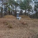 기응세선생묘 이미지