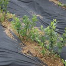 형제슈퍼 이미지