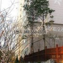 대주아파트 상가동 이미지