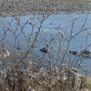 명지바람 이미지