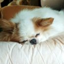 오영수의다나의원 이미지