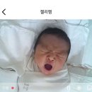 분당-191 | [공지] 분당 데시미늄산후조리원 | 시그니처룸 13박14일 후기✨