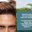 샤넬미용실 이미지