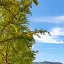 소금랜드 이미지