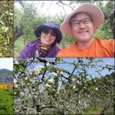 태주농장 이미지