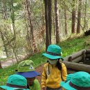 당림초병설유치원 이미지