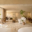 아누캄파(ANUKAMPA) 이미지