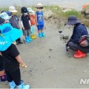 해양환경 이미지