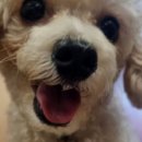 백암1길 이미지