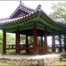 정자