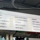 샐러브 이미지