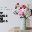 (주)도담바이오