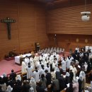 대전가톨릭대학교 이미지