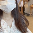 비요헤어