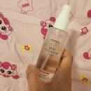 국화라이프세탁 | 해외 여행 필수템 "둠벅 버그 크리너" 빈대 · 진드기 살충제 - 유모차부터 침구 관리까지!