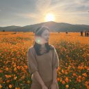 주영농장(4) | [10月] 11월이 되어서야 주섬주섬 풀어보는 10월의 기억