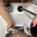 태경빌딩 | 홍대, 상수역 미용실 추천 &lt;마실헤어 홍대점&gt; 클리닉 후기