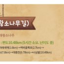 금강송민박 네이버블로그