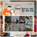 전문교육과정(영어회화) 이미지