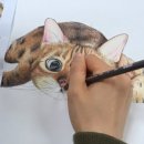 감성드로잉(연필화) 이미지