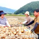 수륜농협 이미지