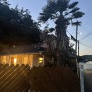 CU 고흥봉계점 | 고흥 감성 숙소, 에어비엔비 고흥의 정원(예약, 마당에서 고기 구워먹기)