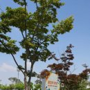 문암생태공원(바베큐장) 이미지