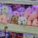 고성공룡나라(통영) 이미지
