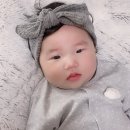 러비더비 이미지