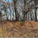 인계초교 이미지