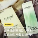 속건조 심한 날 써본 올리브영 포레스트 서울 세럼 선크림 후기