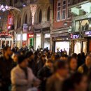 허밍버드 이미지