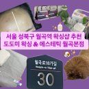 헤어도도(DODO) | 서울 성북구 월곡역 왁싱샵 추천 &lt;도도미 왁싱 &amp; 에스테틱 월곡본점&gt;🧴🍬