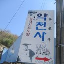 마고실 Daum카페