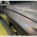 단디카써비스 이미지