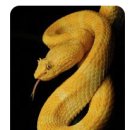 안전한사람들(SAFE PEOPLE) 이미지