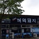 고씨네꺼먹돼지