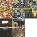 마포관광농원 이미지