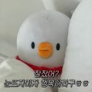 뽀장마차 네이버블로그