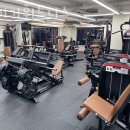 타이거휘트니스 이미지