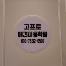 멍멍이발소 이미지