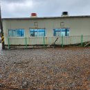 솔숲 | 태안 안면도 오션뷰 캠핑장 곰섬 킹콩솔숲캠핑장 파쇄석 1번 우중 캠핑 후기