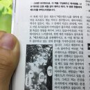 베르세르크 보시는 분들만 이미지