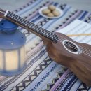 노래로 배우는 우쿨렐레 이미지