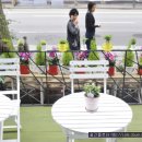 로즈앤캔디 이미지